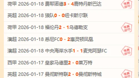 就业稳定成果斐然，优质职位持续扩容